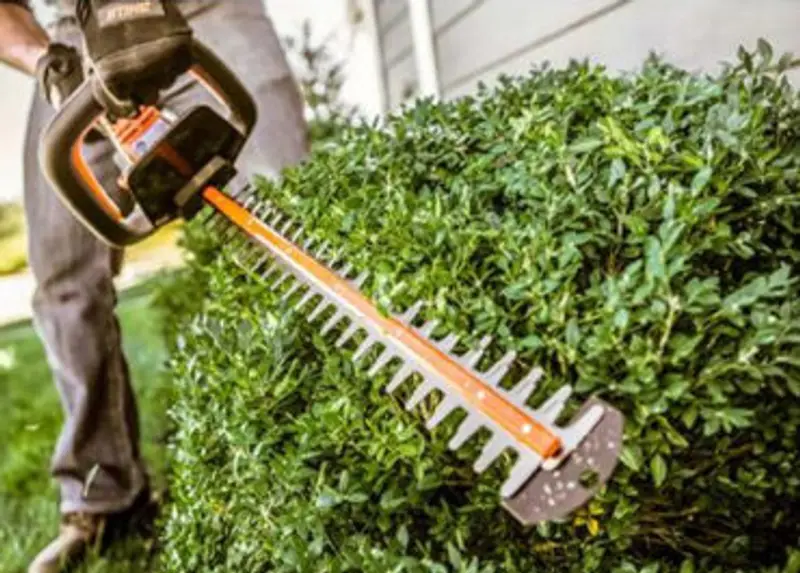 Trimming