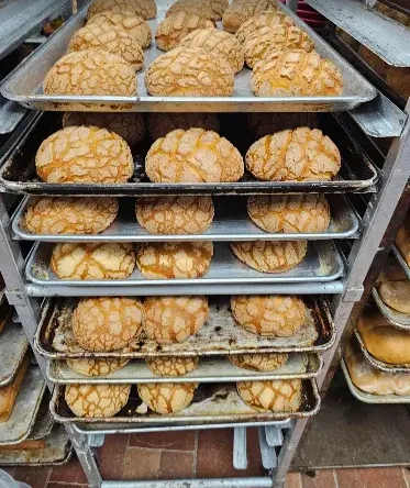 Conchas, Fresh from the Oven
