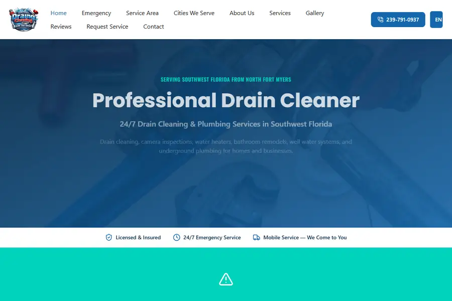 Professional Drain Cleaning site preview